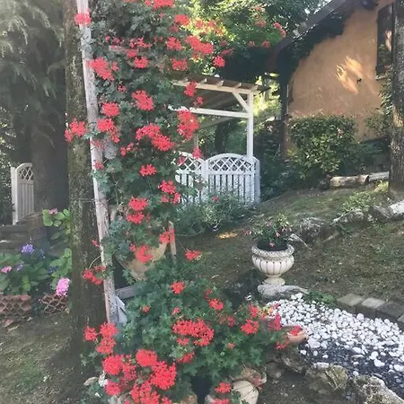 I Parioli Guiglia