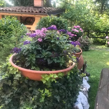 I Parioli *